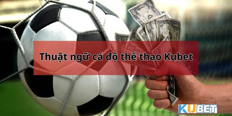 Thuật ngữ cá độ thể thao Kubet